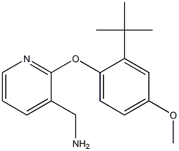 [2-(2-tert-butyl-4-methoxyphenoxy)pyridin-3-yl]methylamine Struktur