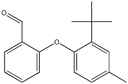 2-(2-tert-butyl-4-methylphenoxy)benzaldehyde 结构式