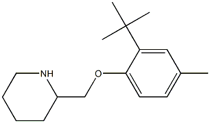 2-(2-tert-butyl-4-methylphenoxymethyl)piperidine|