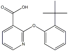 2-(2-tert-butylphenoxy)pyridine-3-carboxylic acid