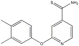 2-(3,4-dimethylphenoxy)pyridine-4-carbothioamide
