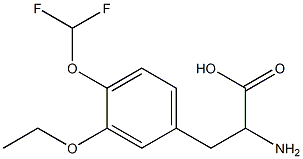  2-amino-3-[4-(difluoromethoxy)-3-ethoxyphenyl]propanoic acid