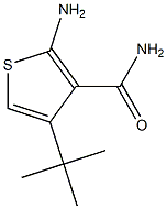 2-amino-4-tert-butylthiophene-3-carboxamide Structure