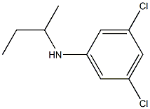 N-(butan-2-yl)-3,5-dichloroaniline Structure