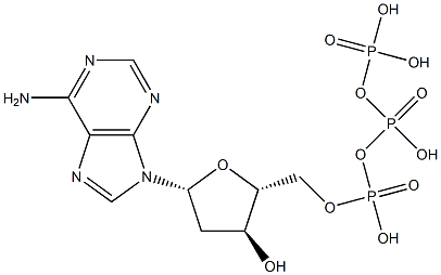 Deoxyadenosine triphosphate|脱氧腺苷三磷酸