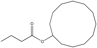 CYCLODODECYL BUTYRATE 结构式