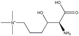 [(5S)-5-amino-5-carboxy-4-hydroxy-pentyl]-trimethyl-azanium