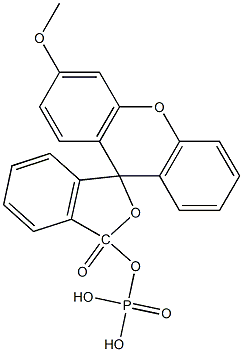 3-O-methylfluorescein phosphate