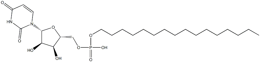 uridine 5'-hexadecylphosphate Struktur