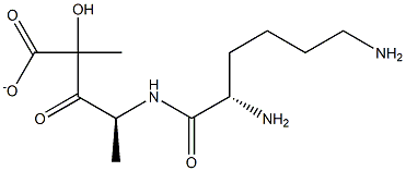 lysyl-alanyl-lactate