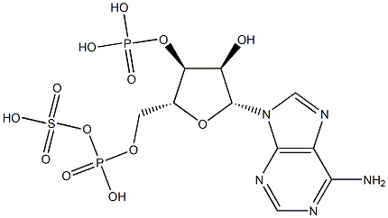 ADENOSINE3'-PHOSPHATE5'-PHOSPHOSULPHATE Structure
