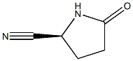 (S)-5-CYANO-2-PYRROLIDINONE Struktur