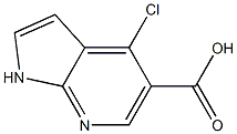 4-CHLORO-1H-PYRROLO[2,3-B]PYRIDINE-5-CARBOXYLIC ACID Structure