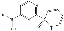 2-(1H-PYRIDIN-2-ONE)PYRIMIDINE-4-BORONIC ACID