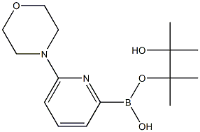 6-モルホリノピリジン-2-ボロン酸ピナコールエステル 化学構造式