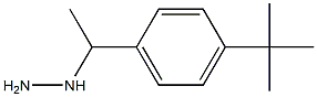 1-(1-(4-tert-butylphenyl)ethyl)hydrazine 化学構造式