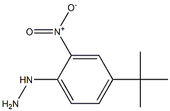 1-(4-tert-butyl-2-nitrophenyl)hydrazine Structure
