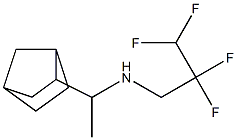 (1-{bicyclo[2.2.1]heptan-2-yl}ethyl)(2,2,3,3-tetrafluoropropyl)amine