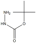 (tert-butoxy)carbohydrazide 结构式