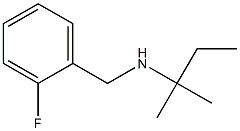 [(2-fluorophenyl)methyl](2-methylbutan-2-yl)amine