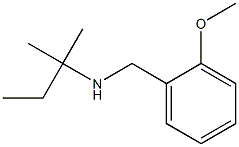 [(2-methoxyphenyl)methyl](2-methylbutan-2-yl)amine