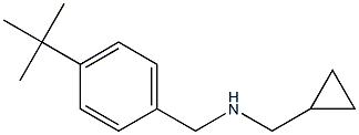 [(4-tert-butylphenyl)methyl](cyclopropylmethyl)amine