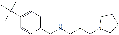 [(4-tert-butylphenyl)methyl][3-(pyrrolidin-1-yl)propyl]amine Struktur