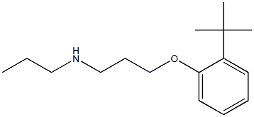 [3-(2-tert-butylphenoxy)propyl](propyl)amine Structure