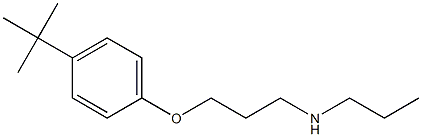 [3-(4-tert-butylphenoxy)propyl](propyl)amine Struktur