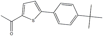 1-[5-(4-tert-butylphenyl)thien-2-yl]ethanone Struktur