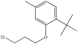 1-tert-butyl-2-(3-chloropropoxy)-4-methylbenzene 结构式