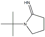 1-tert-butylpyrrolidin-2-imine Structure