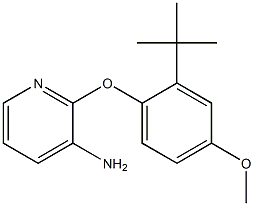 2-(2-tert-butyl-4-methoxyphenoxy)pyridin-3-amine Struktur