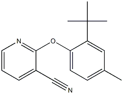 2-(2-tert-butyl-4-methylphenoxy)pyridine-3-carbonitrile Structure