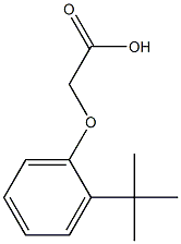 2-(2-tert-butylphenoxy)acetic acid 结构式