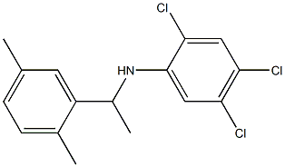 2,4,5-trichloro-N-[1-(2,5-dimethylphenyl)ethyl]aniline,,结构式
