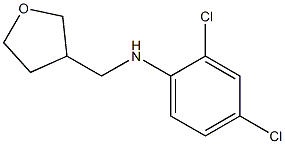  2,4-dichloro-N-(oxolan-3-ylmethyl)aniline