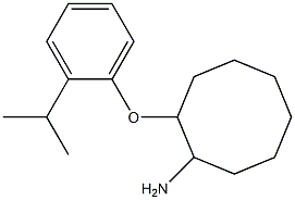2-[2-(propan-2-yl)phenoxy]cyclooctan-1-amine