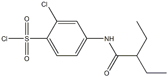2-chloro-4-(2-ethylbutanamido)benzene-1-sulfonyl chloride