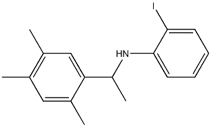 2-iodo-N-[1-(2,4,5-trimethylphenyl)ethyl]aniline 结构式