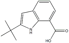 2-tert-butyl-1H-indole-7-carboxylic acid Struktur
