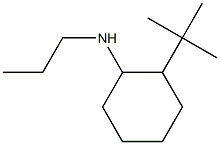 2-tert-butyl-N-propylcyclohexan-1-amine Structure