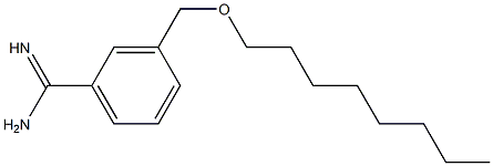 3-[(octyloxy)methyl]benzene-1-carboximidamide|