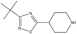 3-tert-butyl-5-(piperidin-4-yl)-1,2,4-oxadiazole