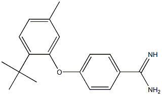 4-(2-tert-butyl-5-methylphenoxy)benzene-1-carboximidamide Struktur