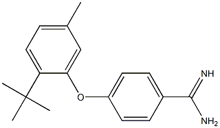 4-(2-tert-butyl-5-methylphenoxy)benzene-1-carboximidamide 化学構造式