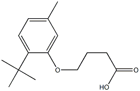 4-(2-tert-butyl-5-methylphenoxy)butanoic acid