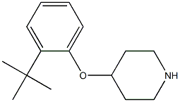 4-(2-tert-butylphenoxy)piperidine Structure