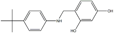 4-{[(4-tert-butylphenyl)amino]methyl}benzene-1,3-diol Structure