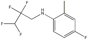 4-fluoro-2-methyl-N-(2,2,3,3-tetrafluoropropyl)aniline 结构式